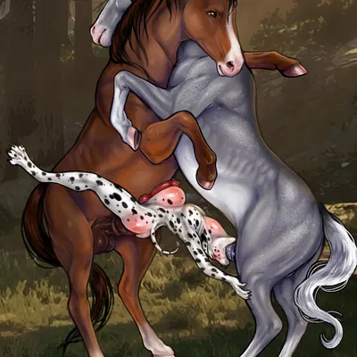 dante (gertgrg) created by shack (artist)