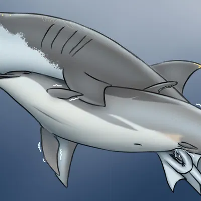 devy (fischie), solfin'mar created by dolorcin