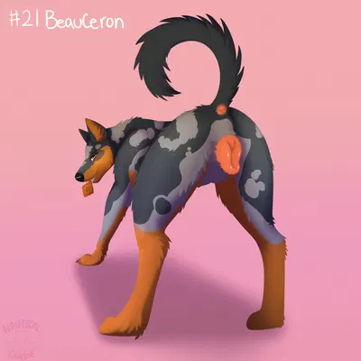doggust created by nauticalcanine