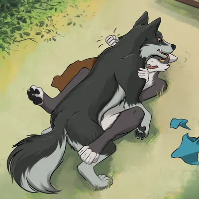 dpakollia (mythology)