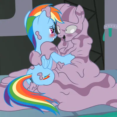 fan character, rainbow dash (mlp), twilight sparkle (mlp) (friendship is magic, hasbro) created by badumsquish