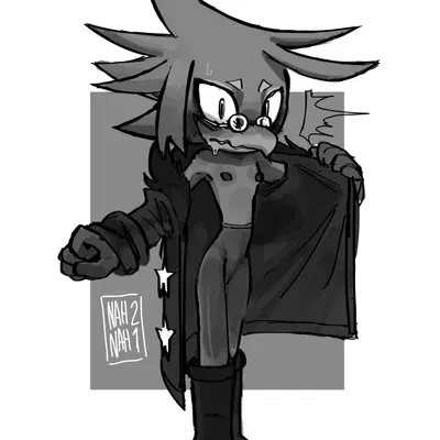 fan character (sega, sonic the hedgehog (series)) created by nahnah21