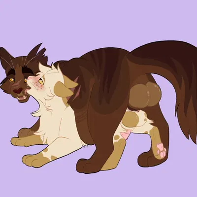 fan character (warriors (book series)) created by barkfur (artist)