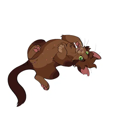 fan character (warriors (book series)) created by barkfur (artist)