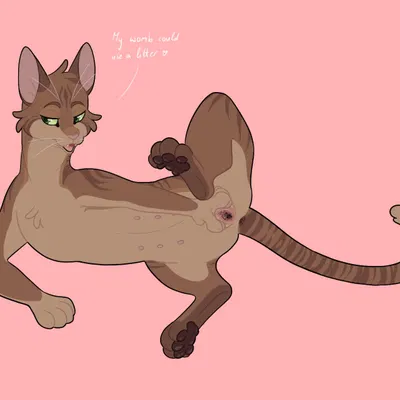 fan character (warriors (book series)) created by barkfur (artist)