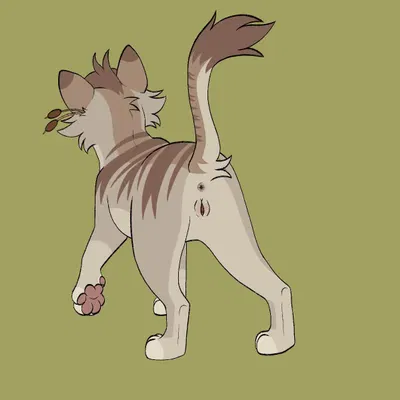 fan character (warriors (book series)) created by barkfur (artist)