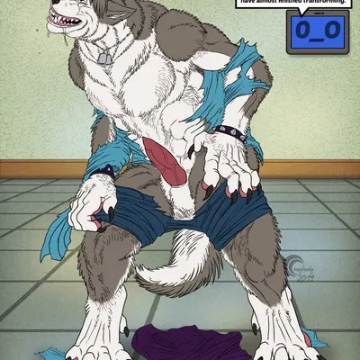 faust (crazy-husky) created by crazy-husky, loboleo