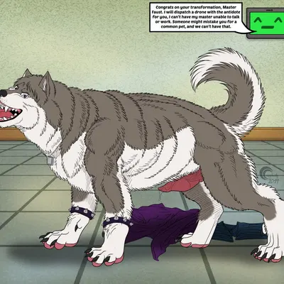 faust (crazy-husky) created by crazy-husky, loboleo