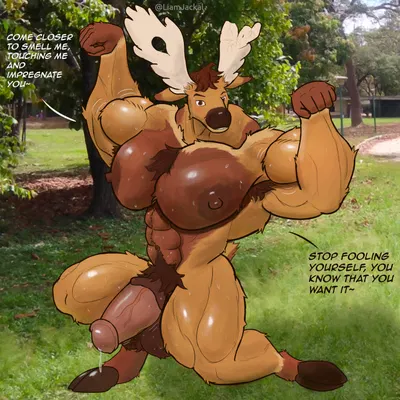 fayro (fayrofire) created by liamjackal