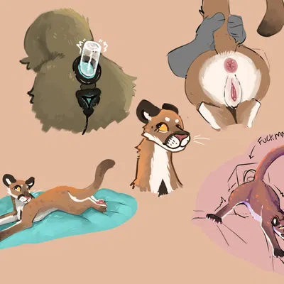 four eyes (lustylamb), lambchop (lustylamb) (mythology) created by lustylamb