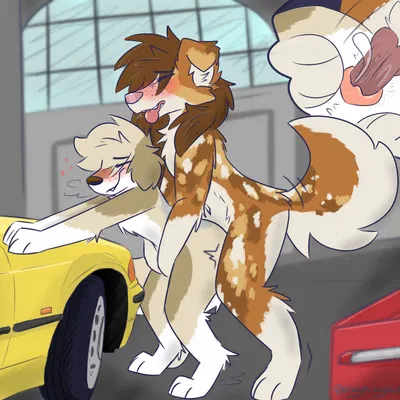 gracie (vixeyhuskybutt) (bmw, bmw e36) created by vixeyhuskybutt