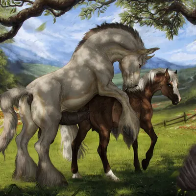 hulett (akerin), nammi (skuggamul) created by scarlanya