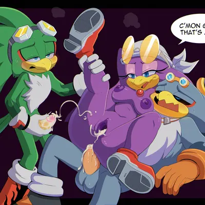 jet the hawk, storm the albatross, wave the swallow (sega, sonic riders) created by apinkgrape