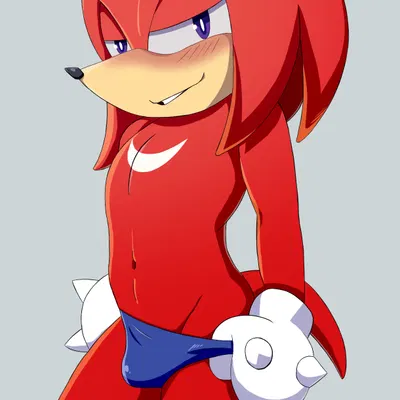 knuckles the echidna (sega, sonic the hedgehog (series)) created by darkwolf79