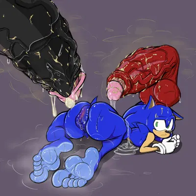 knuckles the echidna, shadow the hedgehog, sonic the hedgehog (sega, sonic the hedgehog (series)) created by vmpfelici