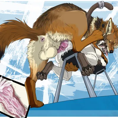 kojote, meezer created by dorosheva-e