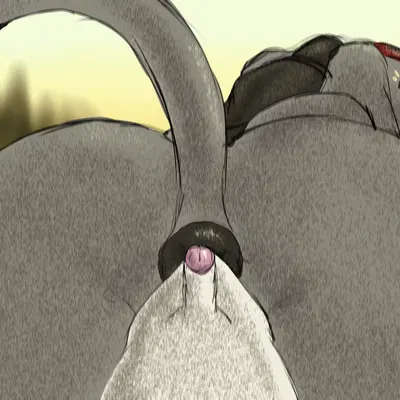 lagende created by lazy sunshine