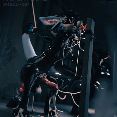 lill espion created by bounddev