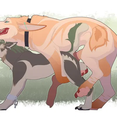 link (wolf form), sabuke (character) (mythology, nintendo) created by sabuky