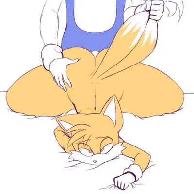 miles prower, sonic the hedgehog (sega, sonic the hedgehog (series)) created by biffalo