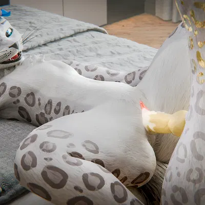 mrgaleo (mrgaleo) created by mrgaleo