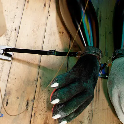 nurse nozzle (c4d) created by daytia