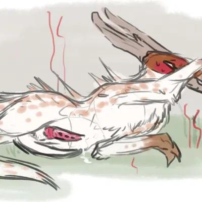 rain world, videocult created by welcometaco