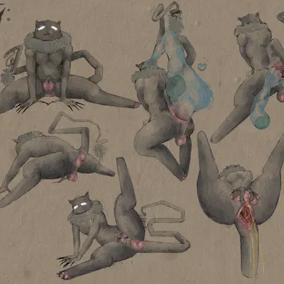 seraphix created by hdyly