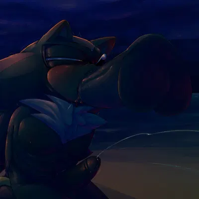 shadow the hedgehog, sonic the hedgehog, sonic the werehog (sega, sonic the hedgehog (series)) created by tomater