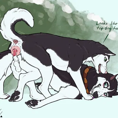 shelby (sketchy shelby), steele (balto) (balto (series), universal studios) created by sketchy shelby