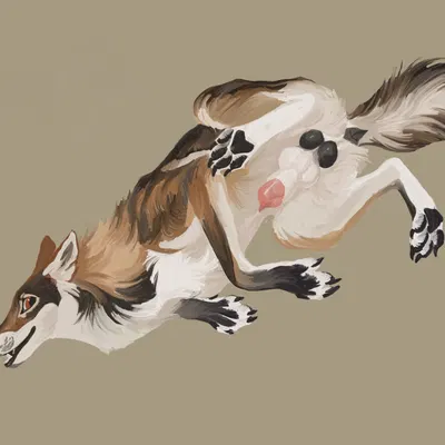 steve (dispersedwolf0949) created by wavyrr