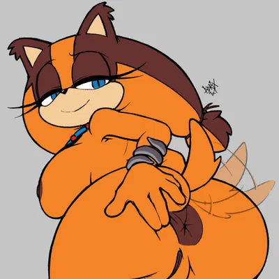 sticks the jungle badger (sega, sonic boom) created by a1x1az