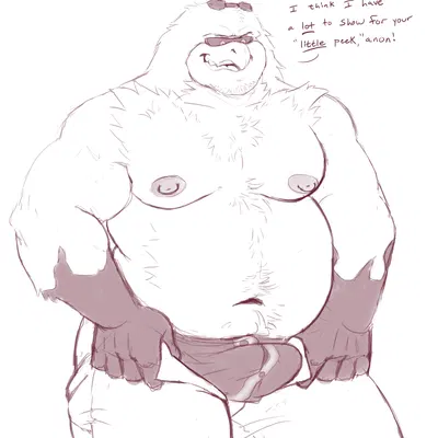 storm the albatross (sega, sonic riders) created by sinfulspikes