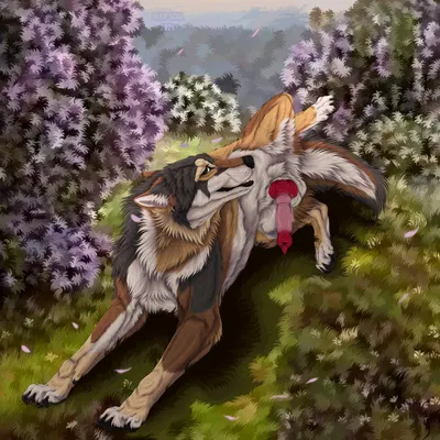 taki (taki-wolf) created by msdeadsoul