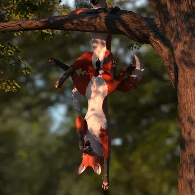 thefoxranger created by kaerfflow