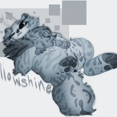 willowshine (warriors) (warriors (book series)) created by kitt3ngutzz