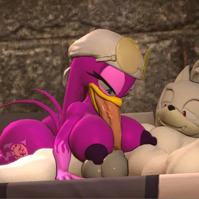 adam (juicyducksfm), fan character, wave the swallow (sega, sonic riders) created by sarah dellen