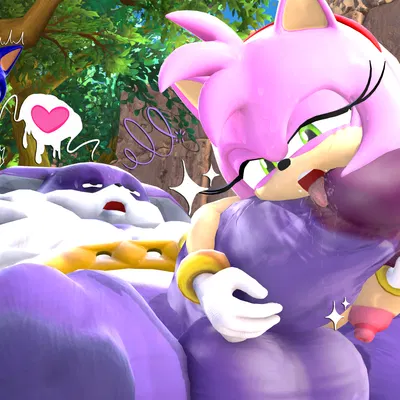 amy rose, big the cat, sonic the hedgehog (sega, sonic the hedgehog (series)) created by neotaurus
