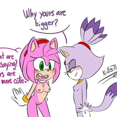 amy rose, blaze the cat (sega, sonic the hedgehog (series)) created by ninotrash