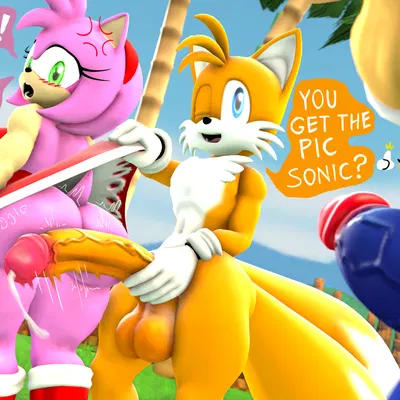 amy rose, miles prower, sonic the hedgehog (sega, sonic the hedgehog (series)) created by neotaurus