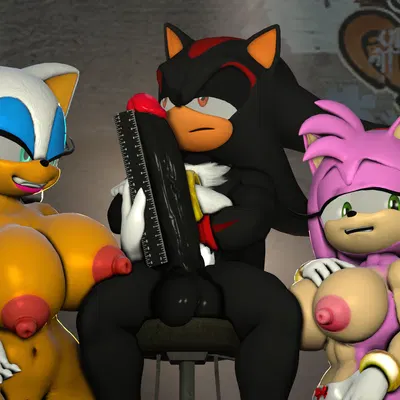 amy rose, rouge the bat, shadow the hedgehog (sega, sonic the hedgehog (series)) created by sarah dellen