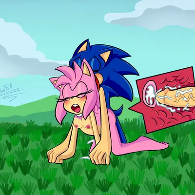 amy rose, sonic the hedgehog (sega, sonic the hedgehog (series)) created by ninotrash