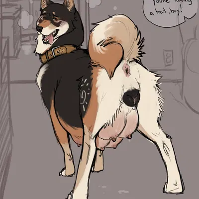 apollo (apollo sunshiba) created by cricketkisses, freshly uprooted