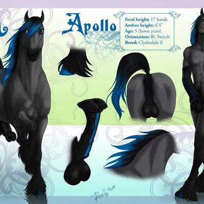 apollo (stonebeards) created by rufciu