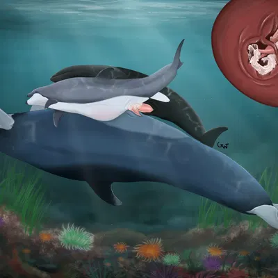 arin (vulumar), carina (vulumar), faren (vulumar) created by the glow whale