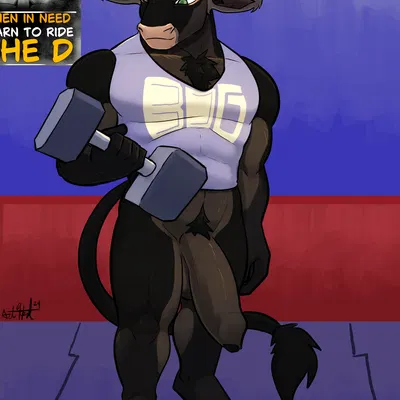 bdgym created by bear213