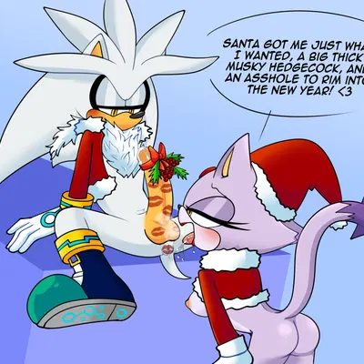 blaze the cat, silver the hedgehog (christmas, sega) created by ninotrash