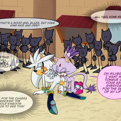 blaze the cat, silver the hedgehog (sega, sonic the hedgehog (series)) created by ninotrash