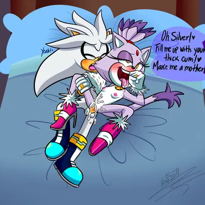 blaze the cat, silver the hedgehog (sega, sonic the hedgehog (series)) created by ninotrash