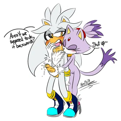 blaze the cat, silver the hedgehog (sega, sonic the hedgehog (series)) created by ninotrash